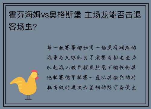 霍芬海姆vs奥格斯堡 主场龙能否击退客场虫？